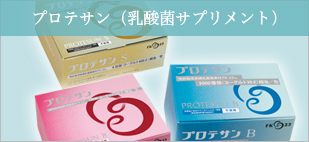 乳酸菌サプリメント