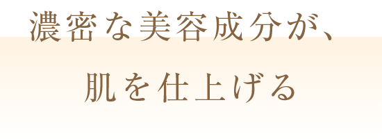 濃密な美容成分が、肌を仕上げる